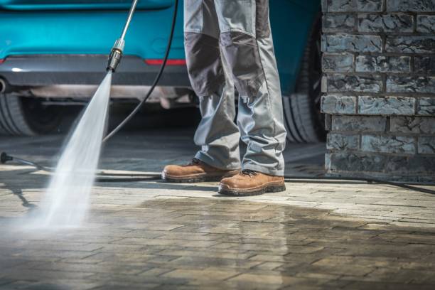Best Soft Washing  in Homestead, FL