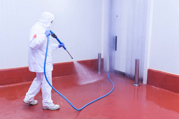 Best Driveway Pressure Washing  in Homestead, FL